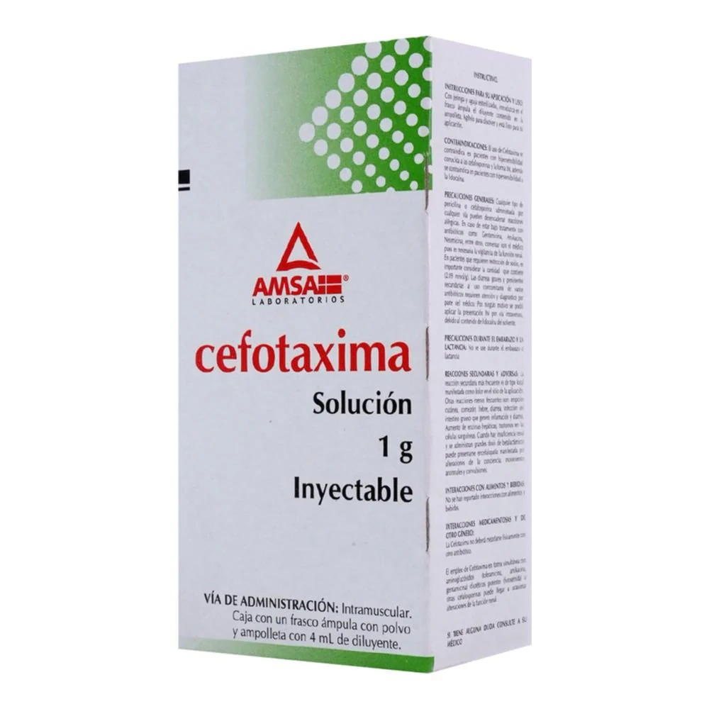Cefotaxima Im 1g 1 Amp/4m